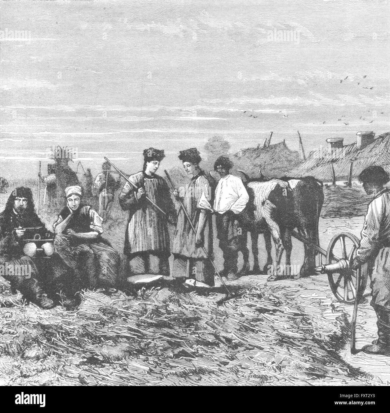 UKRAINE : fauchage en Ukraine, antique print c1885 Banque D'Images