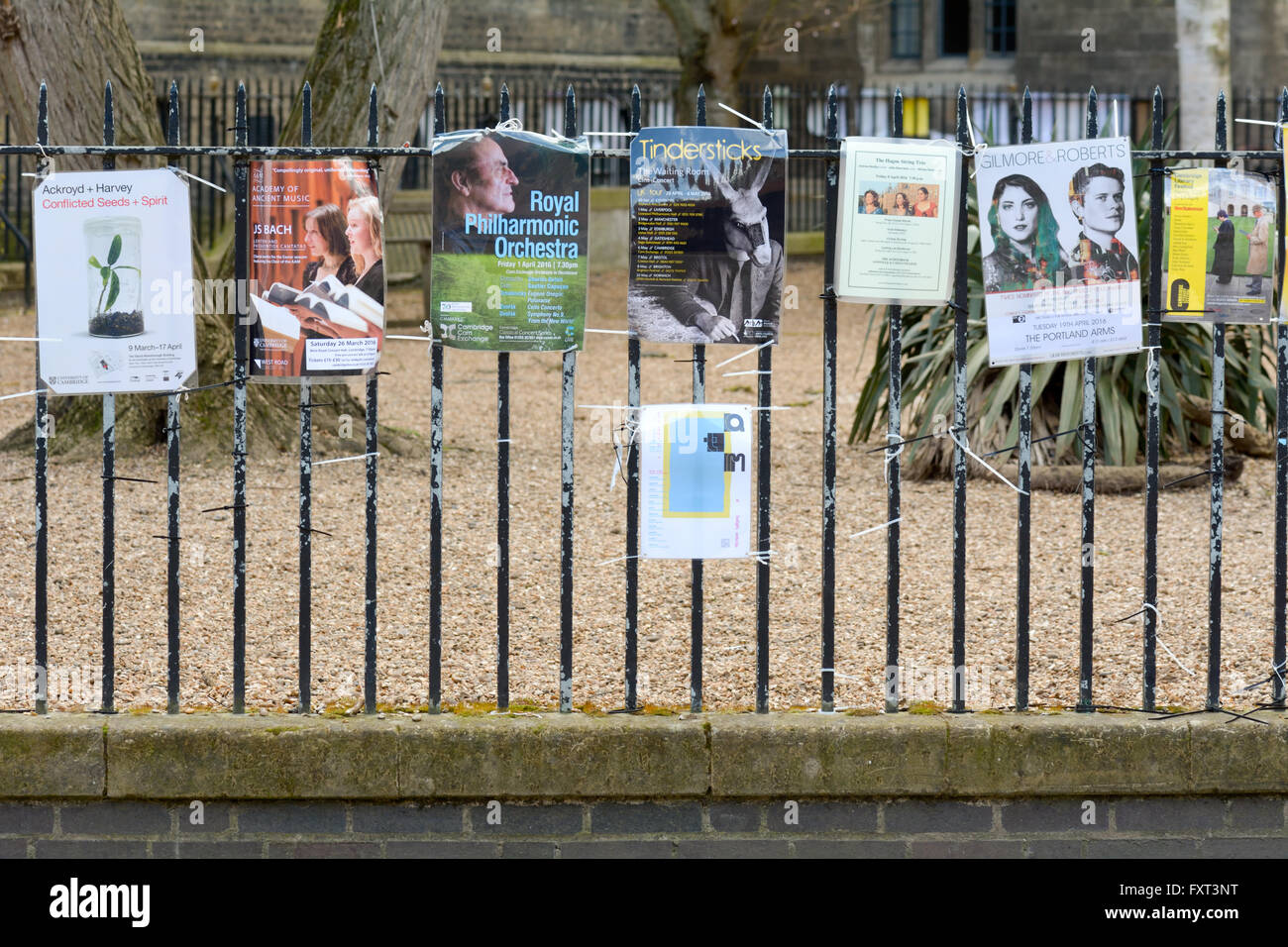 Différents panneaux pour spectacles scotchées à clôture dans le centre-ville de Cambridge, Cambridgeshire, Angleterre Banque D'Images