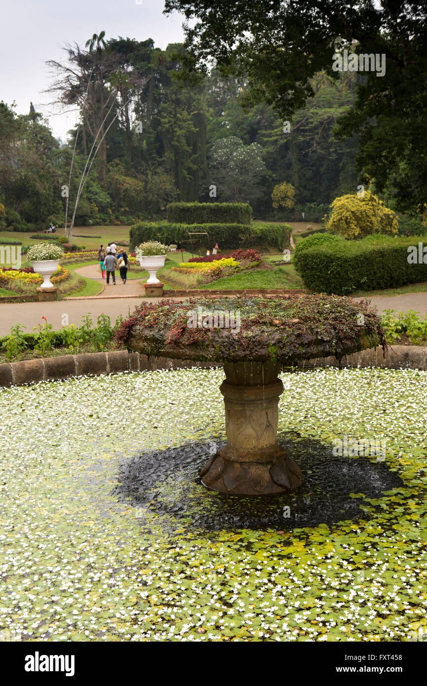 Sri Lanka, Kandy, Peradeniya Botanical Gardens, étang de jardin de fleurs Banque D'Images