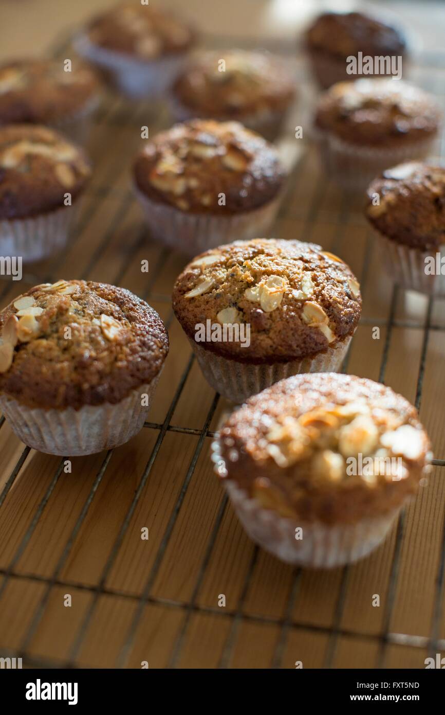 Muffins sans gluten sur bac de refroidissement Banque D'Images