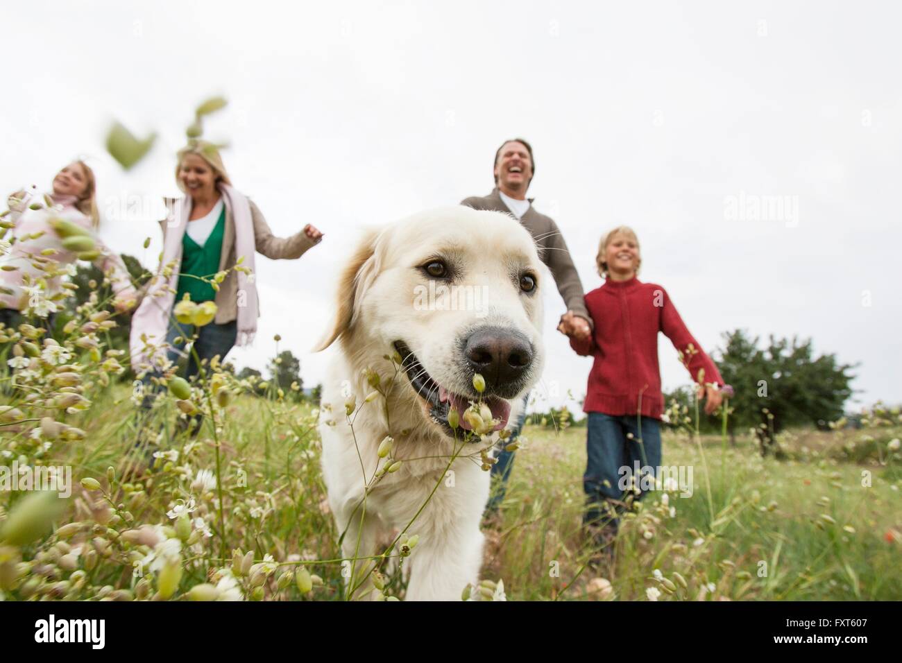 Happy Family running with pet dog in park Banque D'Images