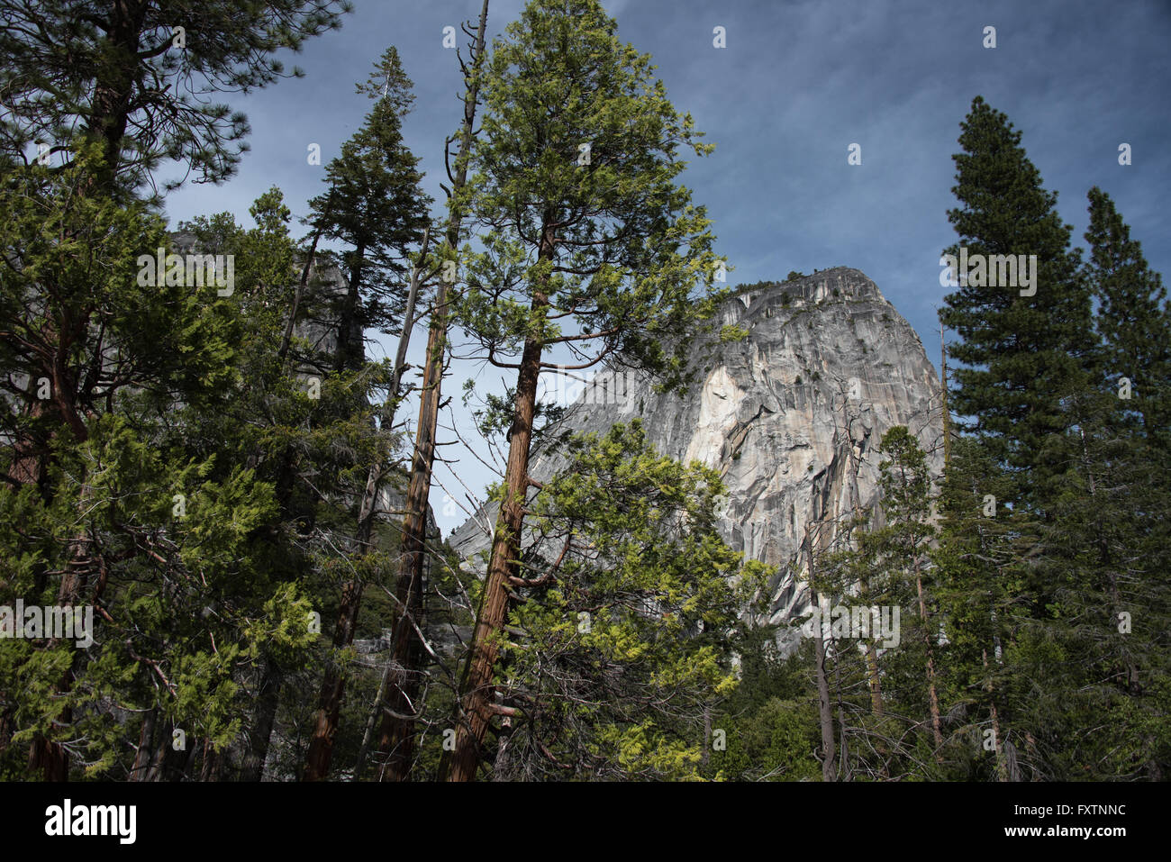 Paysage de Yosemite National Park, California, USA Banque D'Images