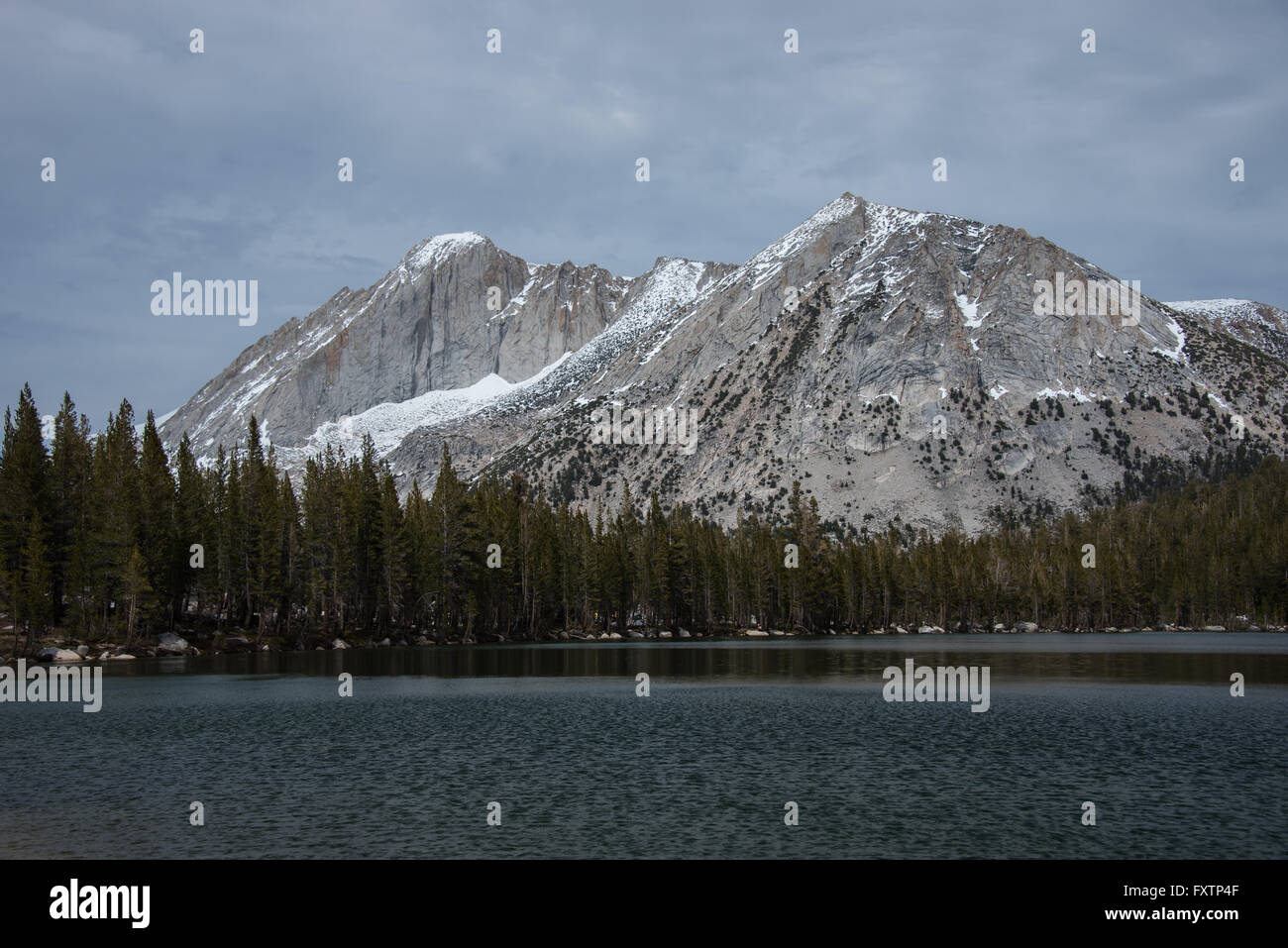 Paysage de Yosemite National Park, California, USA Banque D'Images