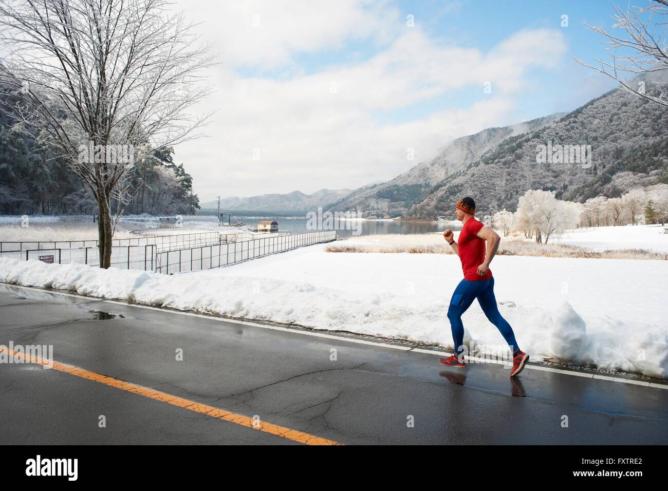 Le long road runner mâles en hiver, le lac Kawaguchiko, le Mont Fuji, Japon Banque D'Images