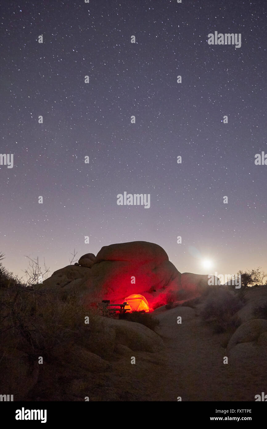 Camping au parc national de Joshua Tree, en Californie Banque D'Images