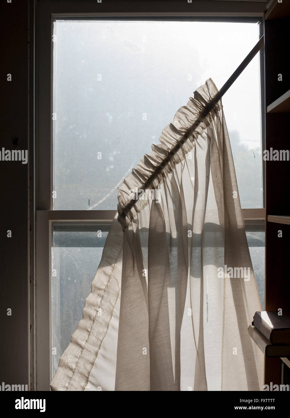 Rideaux filet tombant de la fenêtre à guillotine sale Banque D'Images