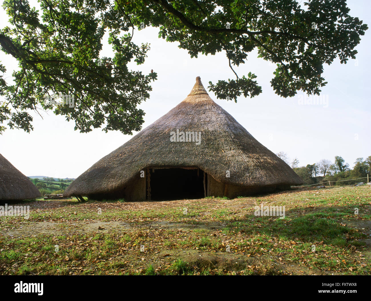 Reconstruit à Castell Henllys roundhouse 2 règlement défendu occupés au cours de la fin de l'âge du bronze et âge du Fer, Pembrokeshire, Pays de Galles, Royaume-Uni Sud Ouest Banque D'Images