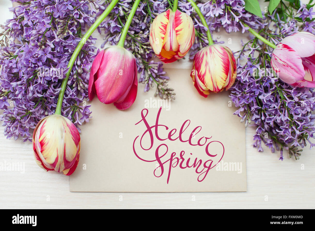 Trame d'tulipes et lilas place pour texte carte de souhaits avec des lettres Bonjour sprint Banque D'Images