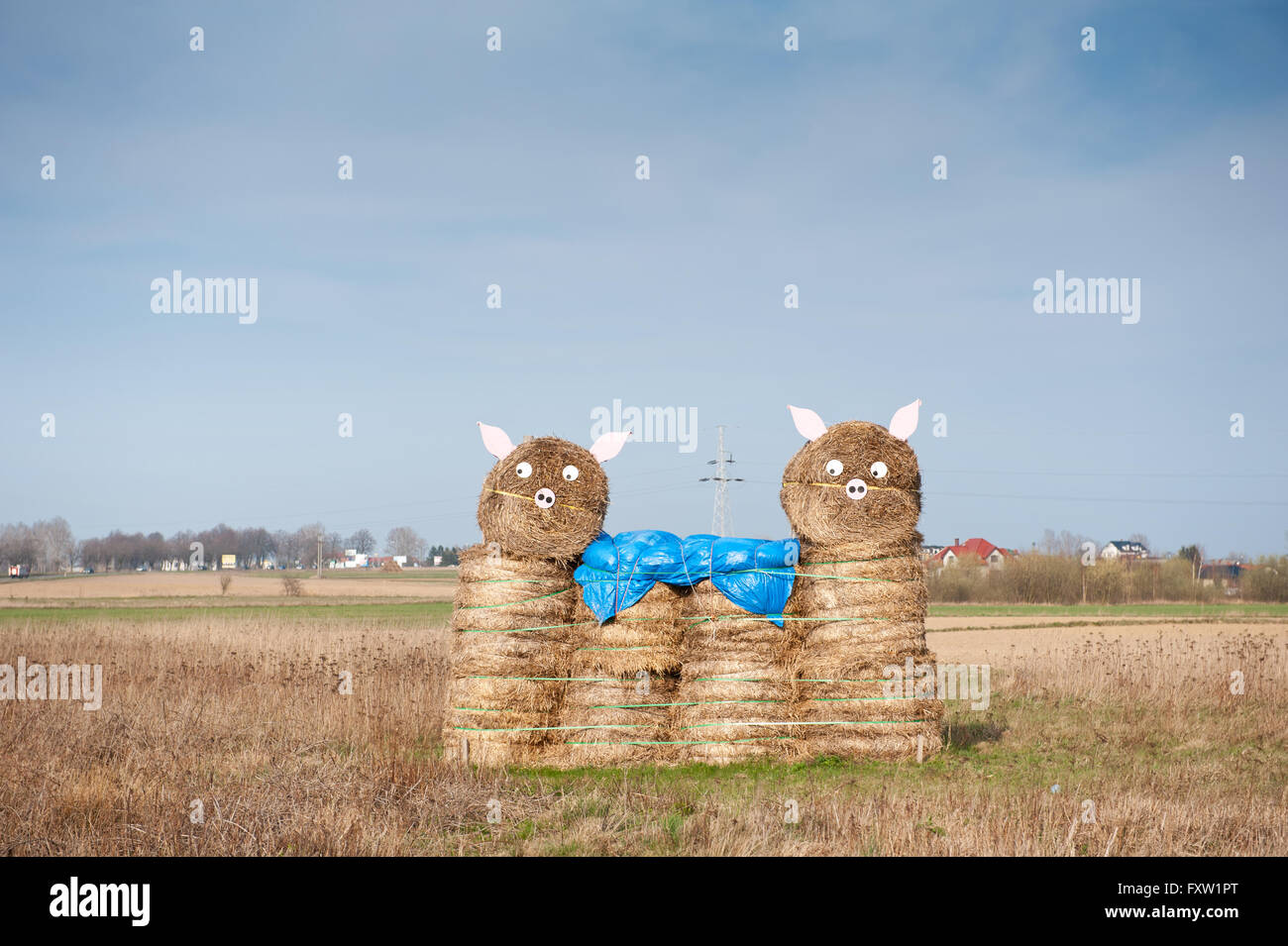 Funny hay bale porcs en Swarzewo près de Poznan en Pologne, l'Europe. Sculptures d'art dans le champ de maïs en labyrinthe, labyrinthe de maïs Banque D'Images