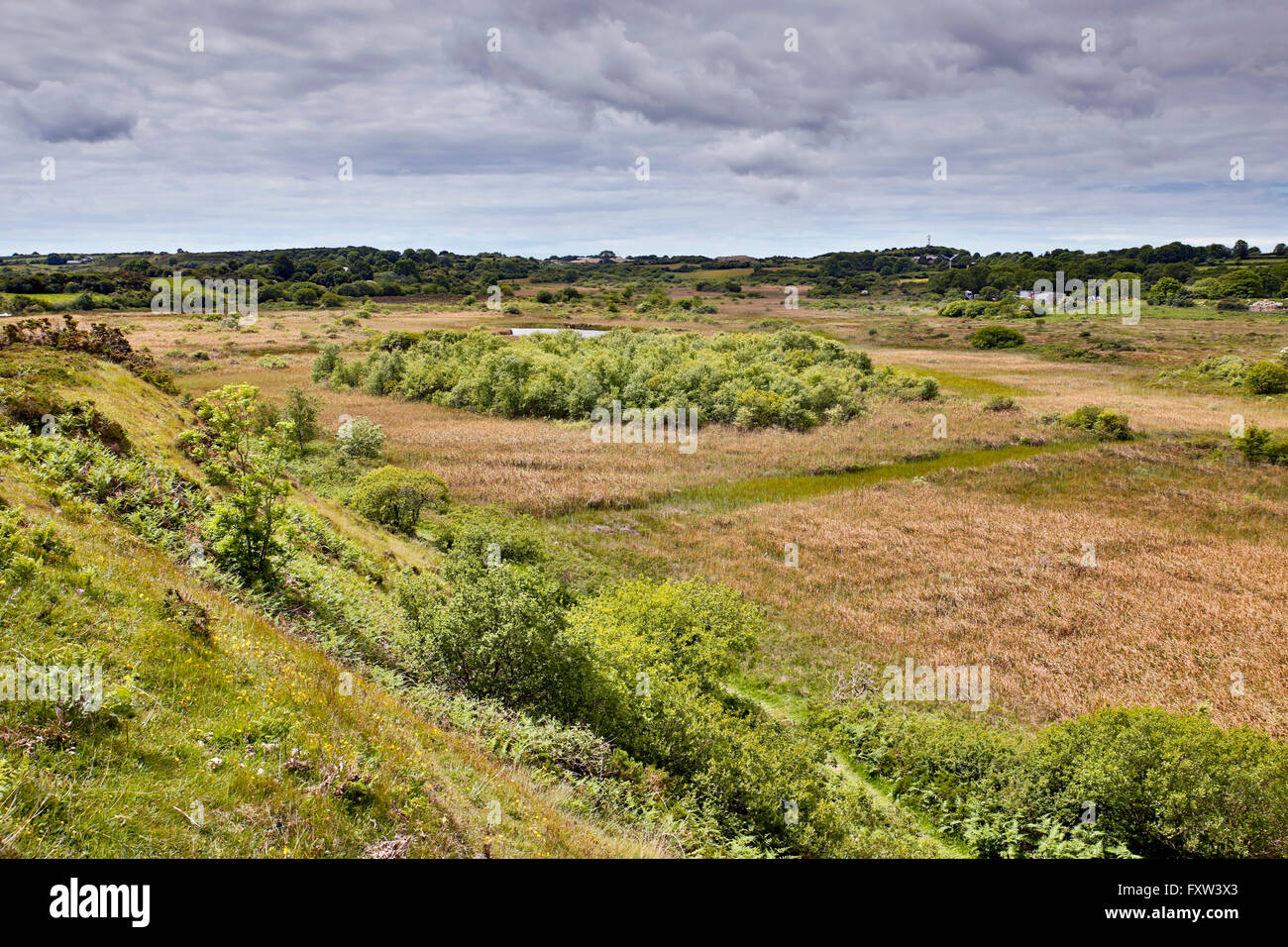 La réserve naturelle nationale de la SCRO Goch Roselière Anglesey, UK Banque D'Images