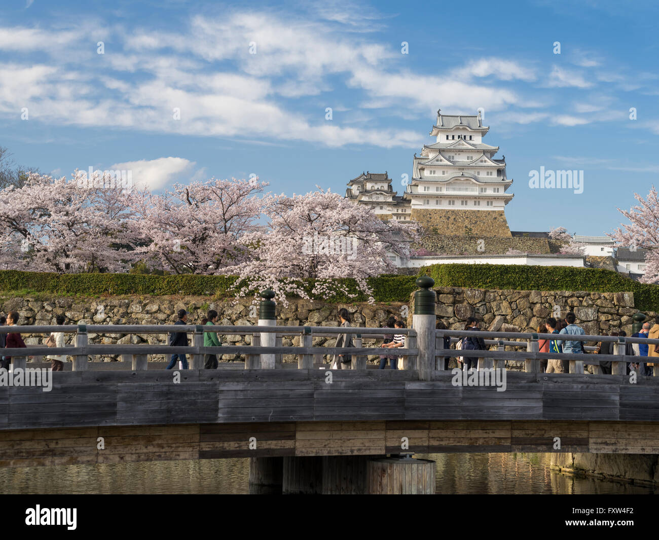 Château de Himeji et cherry blossom après les travaux terminés en 2015 . Himeji, préfecture de Hyogo au Japon. Banque D'Images