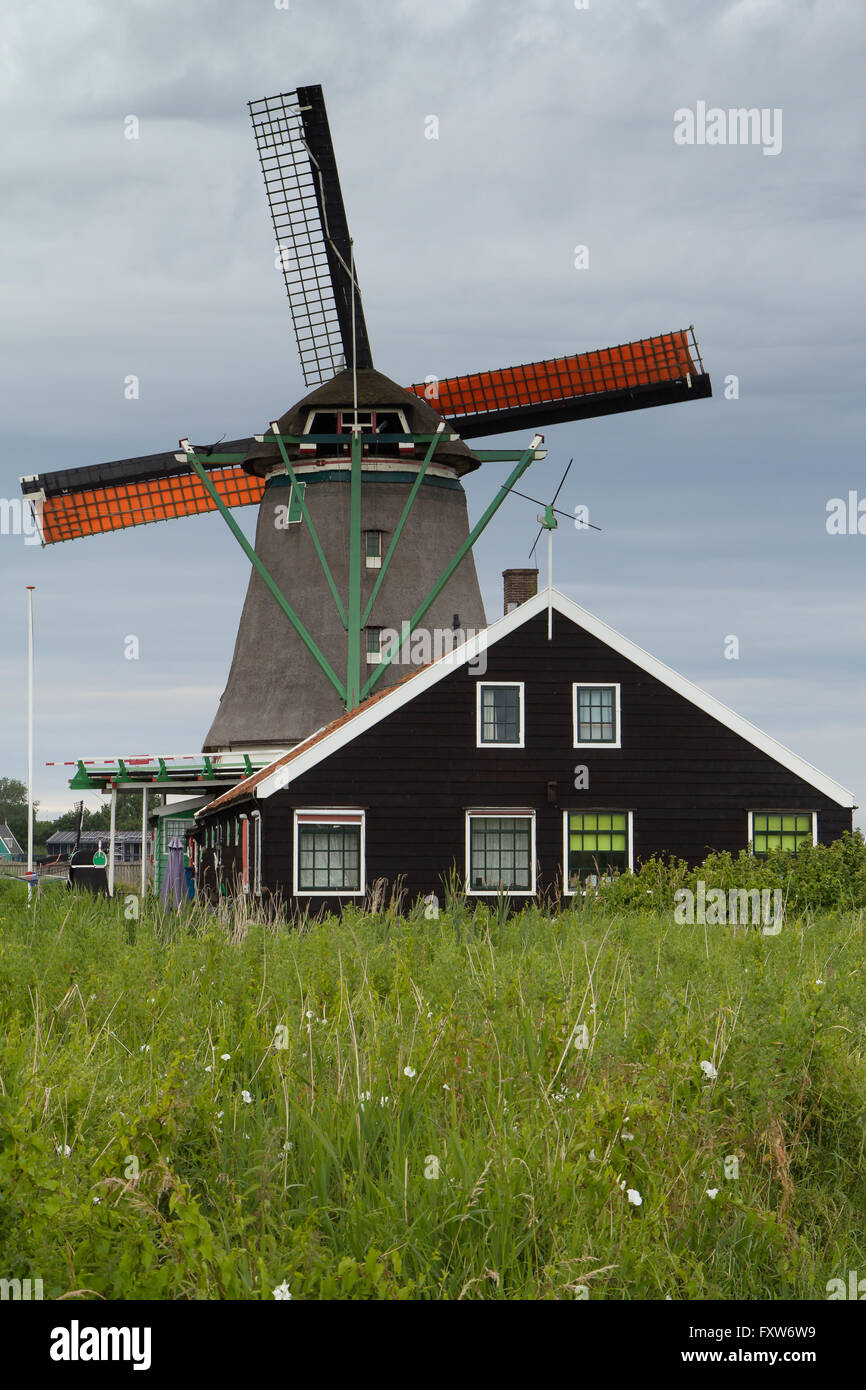 Moulin à vent traditionnel néerlandais à Zaanse (Pays-Bas) Banque D'Images