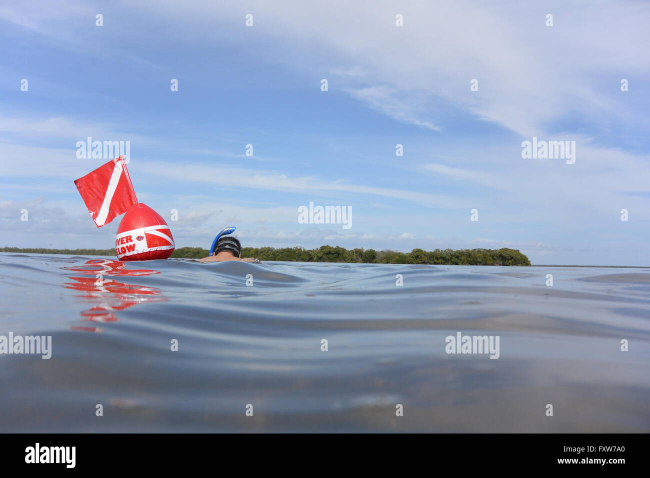 Tuba avec drapeau de plongée dans la baie de Floride Banque D'Images