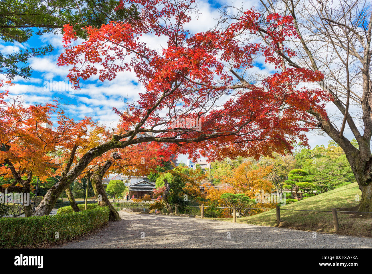 Kumamoto, Japon à Suizenji jardin à l'automne. Banque D'Images