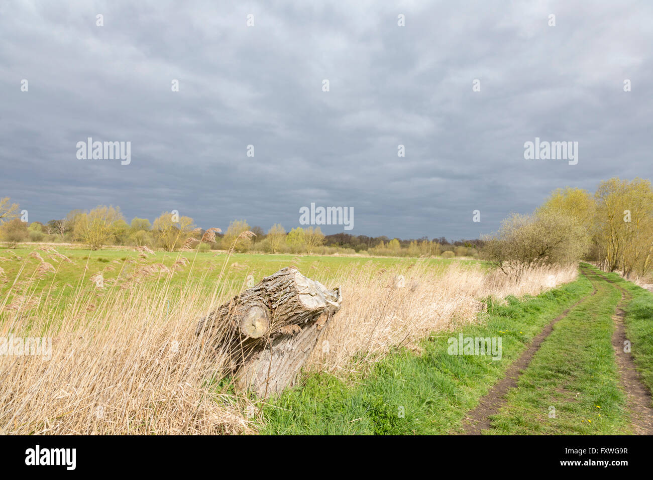 Piste sur le sentier du Marais Beccles Suffolk, Angleterre, RU Banque D'Images