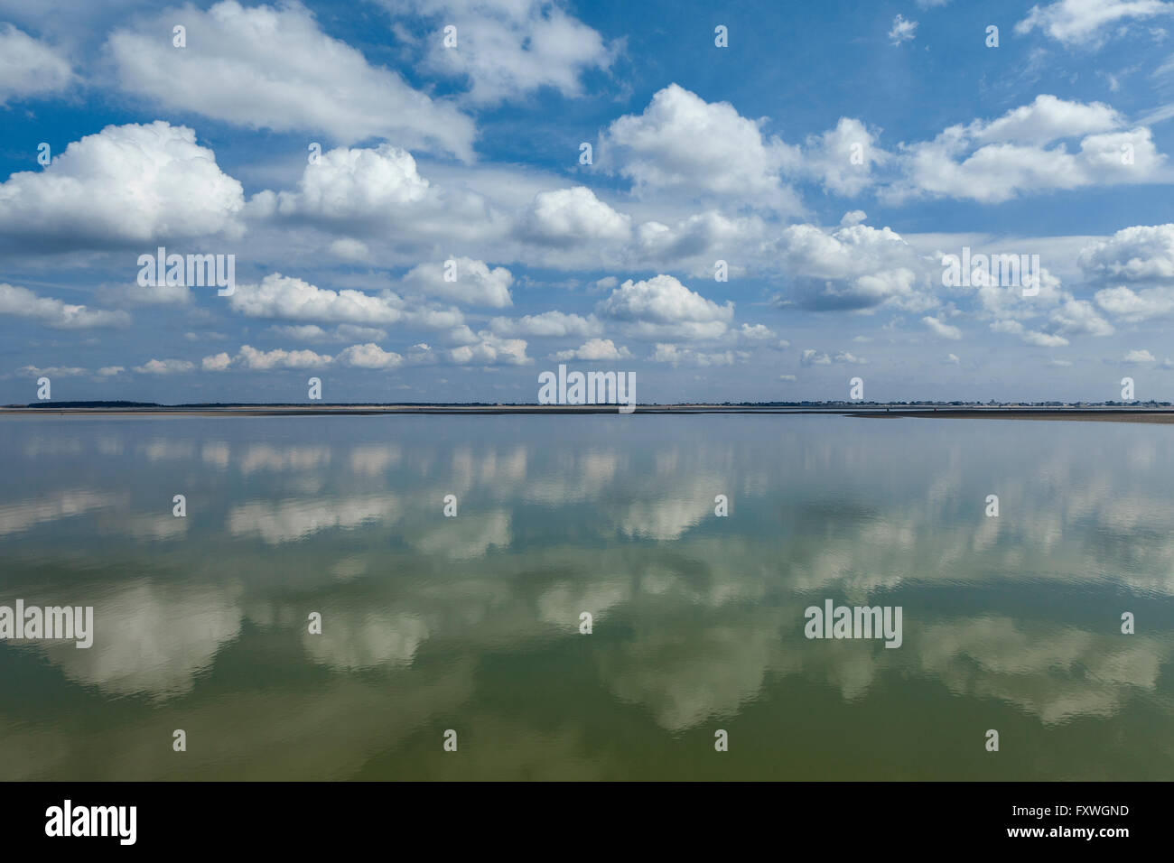 Paysage en baie de Somme en Picardie, France Banque D'Images