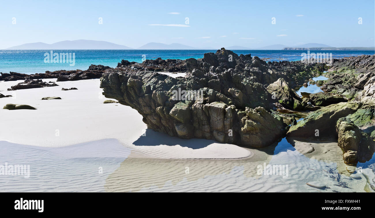 Vue sur une des plages de sable à proximité de l'île de la carcasse sur le point d'aiguilles dans les Malouines Banque D'Images