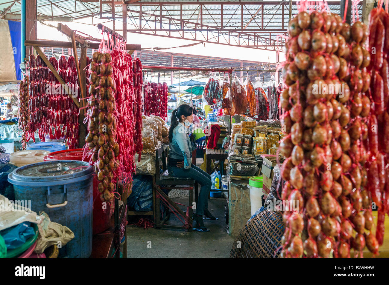 L'Asie. L'Asie du Sud-Est. Le Laos. Province de Champassak. Paksé. Vendeur de poisson au marché couvert. Banque D'Images