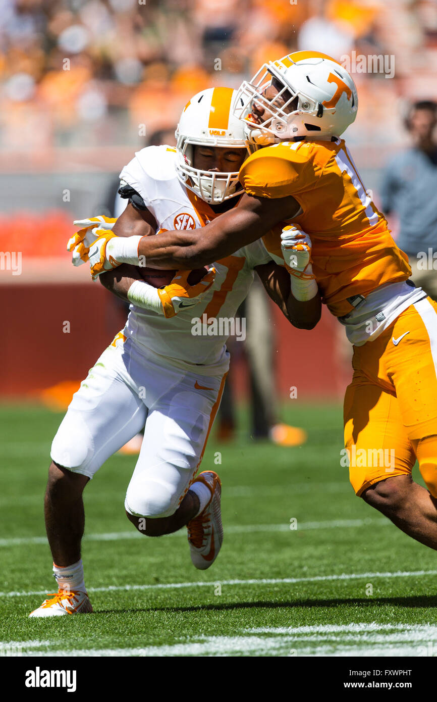 16 avril 2016 : Jayson étincelles # 37 s'exécute la balle et est abordé par quart'e Sapp # 14 au cours de l'Université du Tennessee scrimmage intrasquad Orange et Blanc au Stade de Neyland à Knoxville, TN/CSM Gangloff Tim Banque D'Images