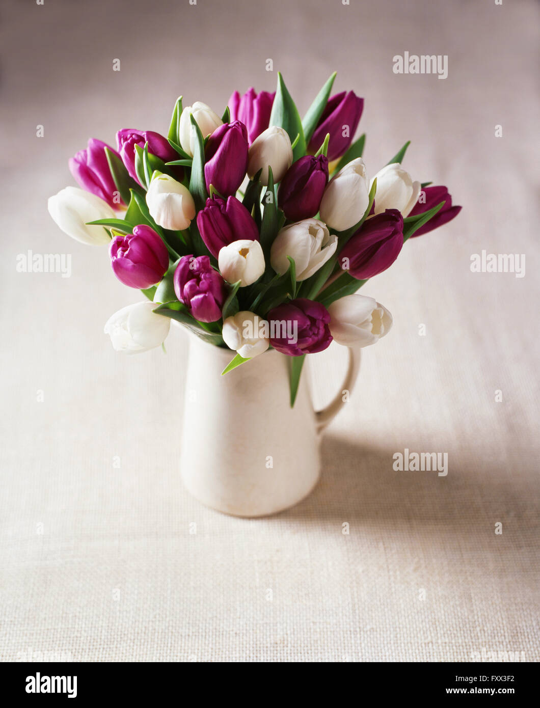 Blanc et violet tulip flower arrangement dans jug Banque D'Images