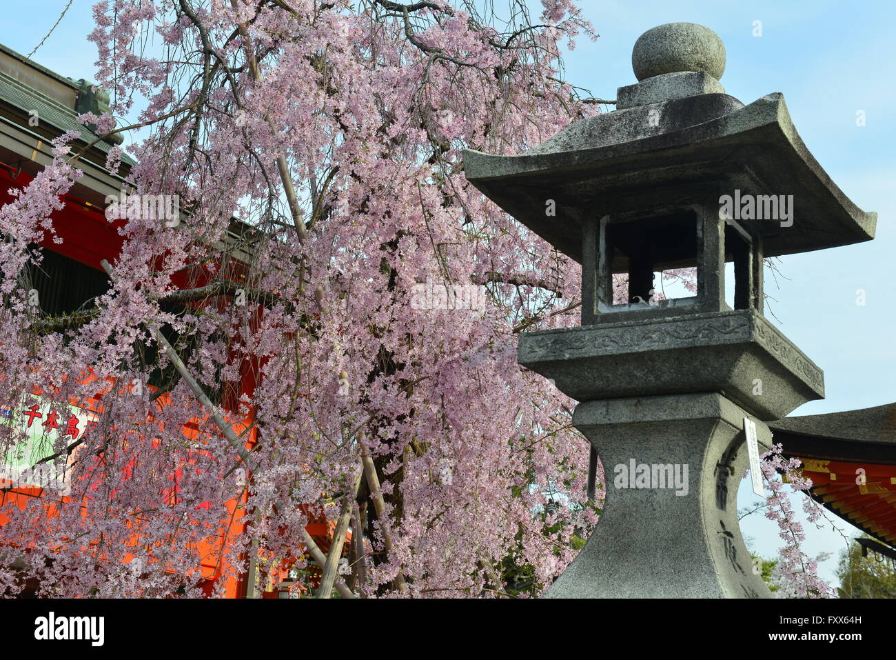 Fushimi Inari Taisha, Kyoto, Japon Banque D'Images