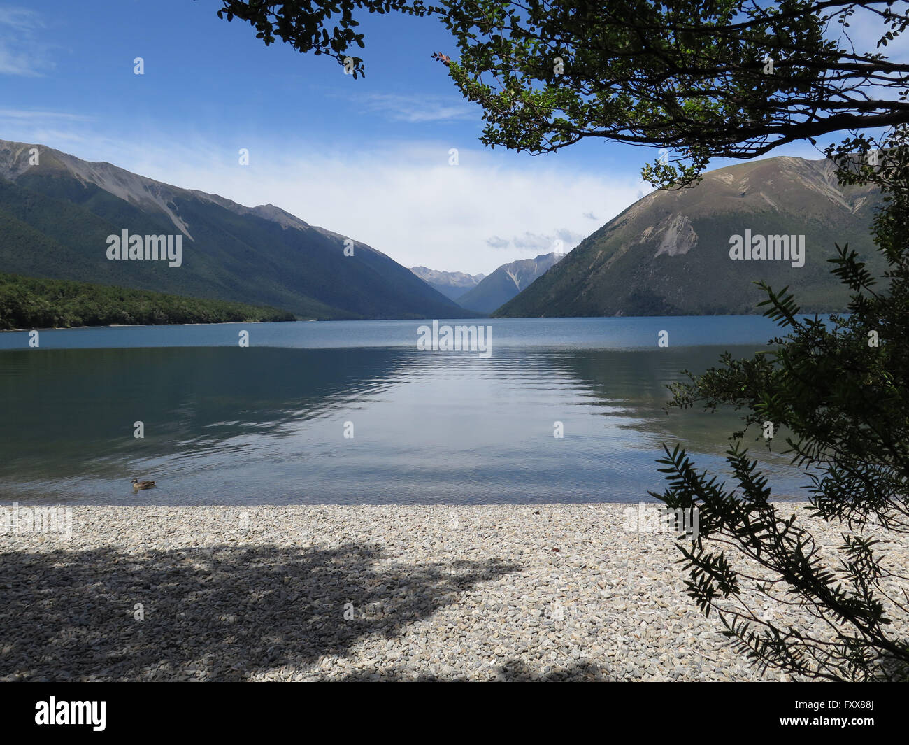 Lac Rotoiti, Nelson Lakes National Park, New Zealand Banque D'Images