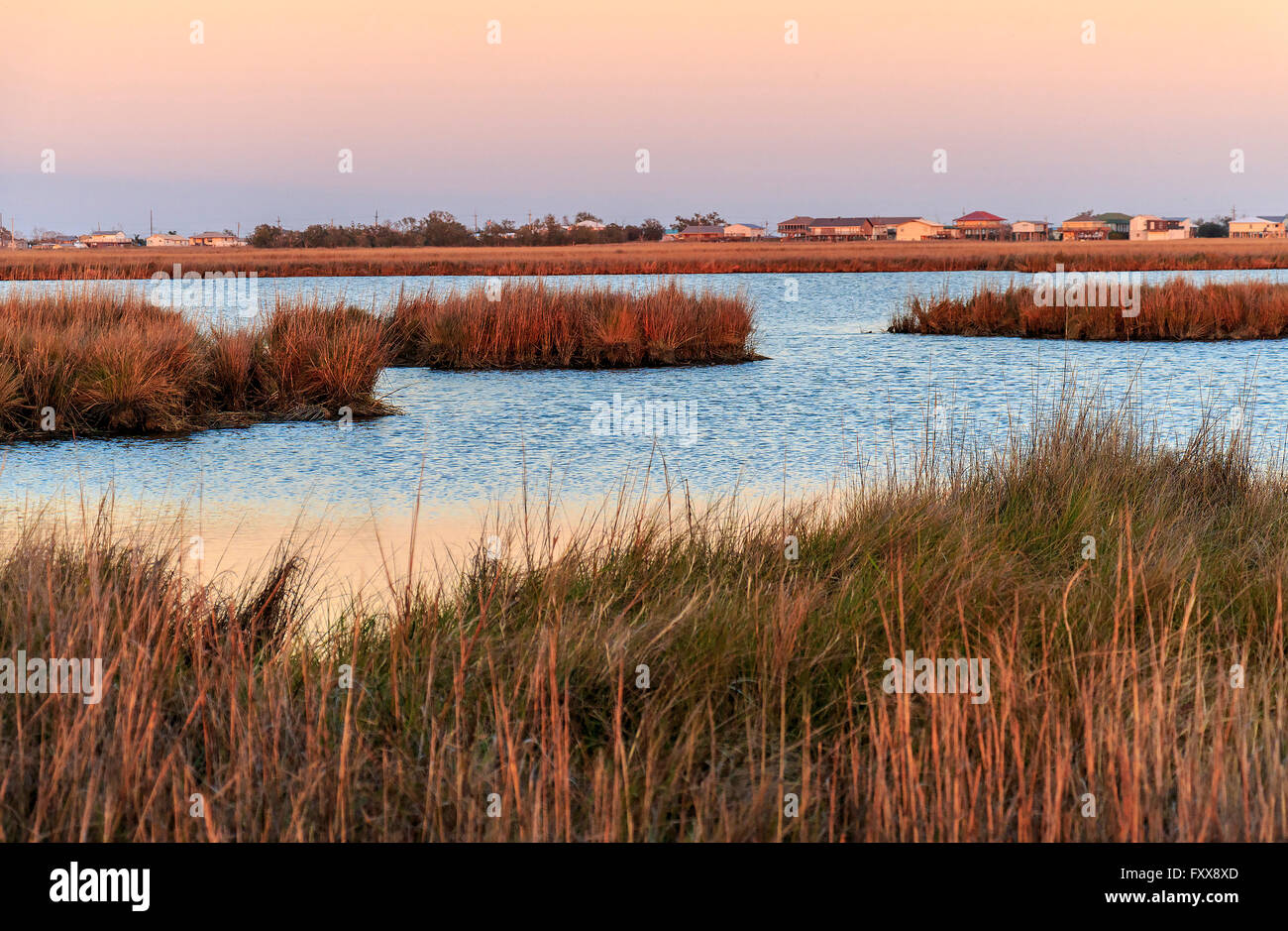 Coucher du soleil réchauffe les couleurs de l'herbe dans des zones humides côtières de Terrebonne parois sud de la Louisiane. Banque D'Images