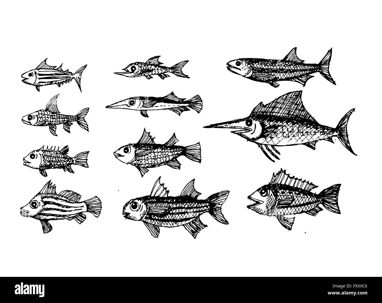 Dans l'illustration de poisson Illustration de Vecteur