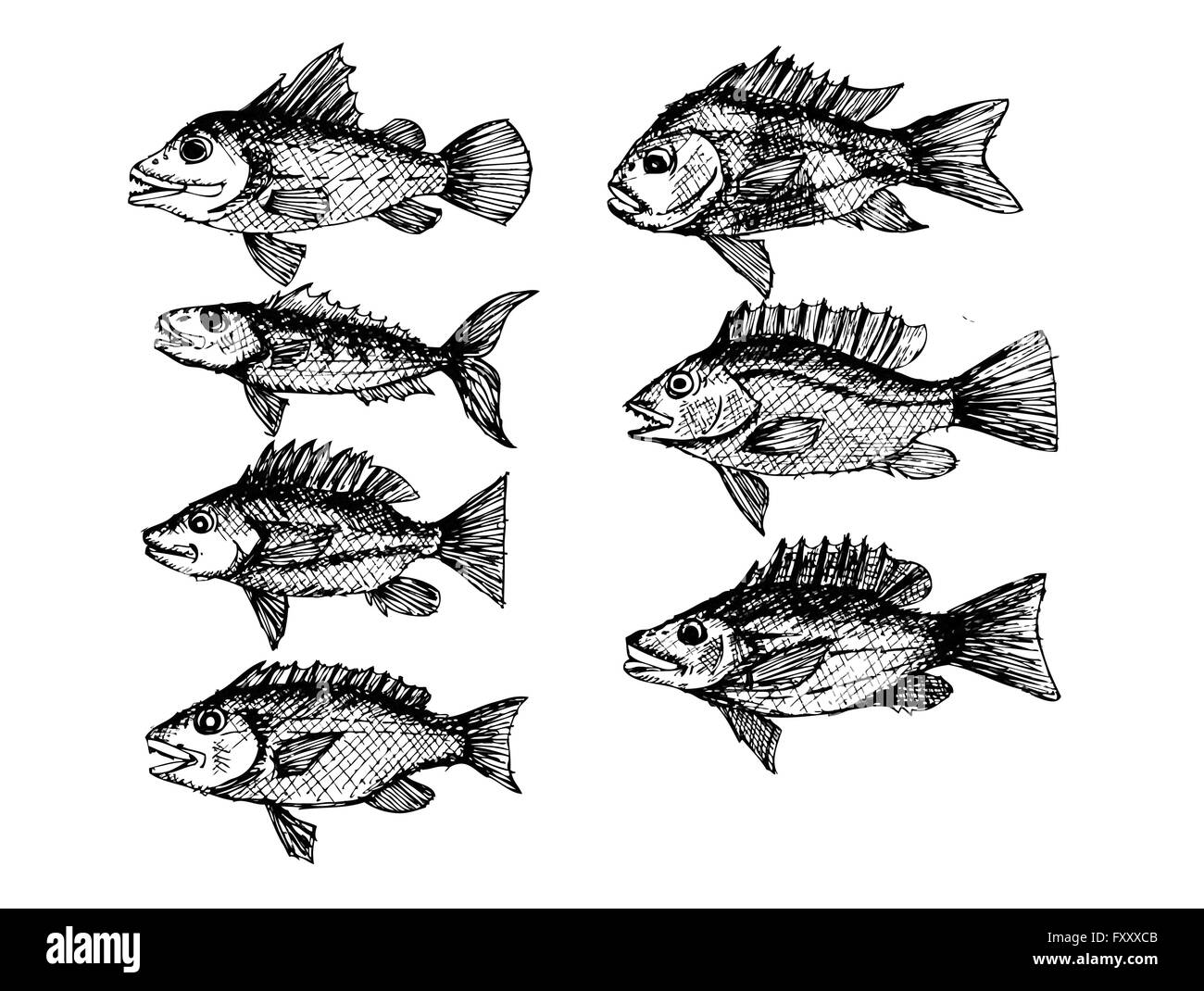 Dans l'illustration de poisson Illustration de Vecteur