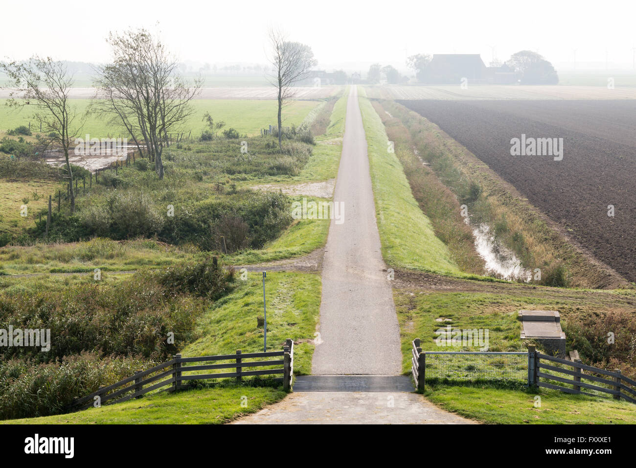 Petite route en frison brumeux paysage de polders en campagne près de Harlingen, Frise, Pays-Bas Banque D'Images