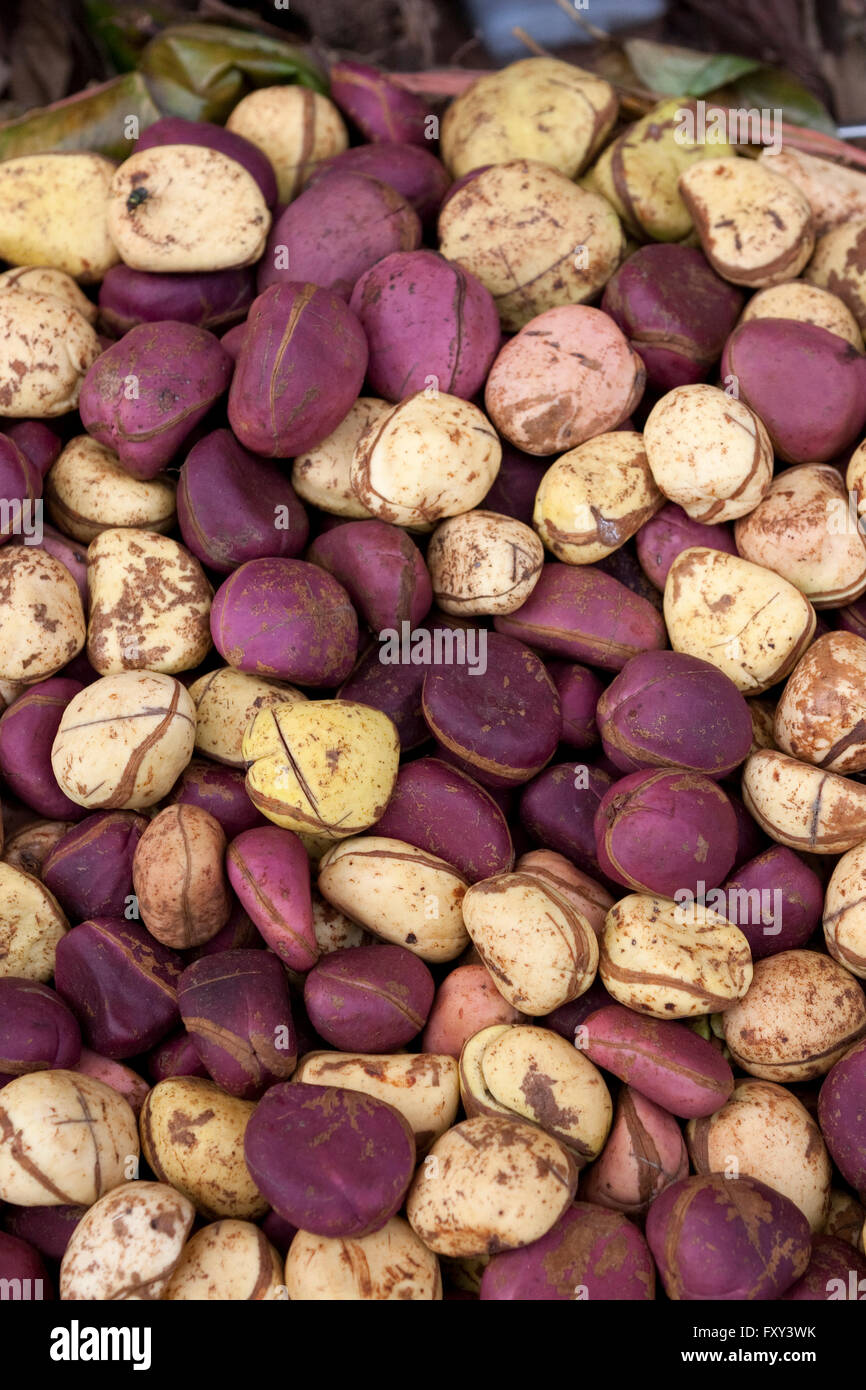 Les noix de Kola sur le marché africain Banque D'Images