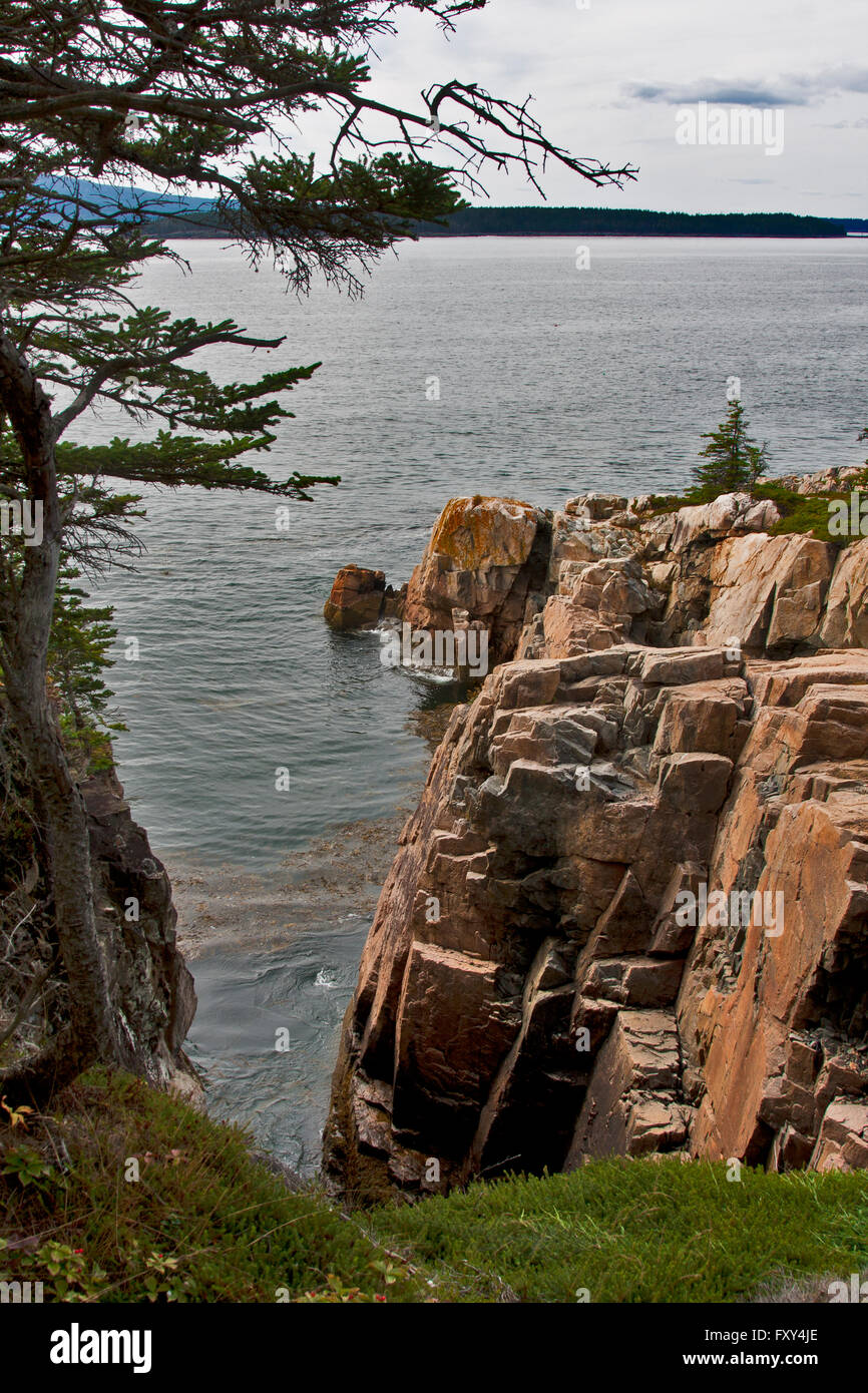 État du Maine, la péninsule de Schoodic, Parc National d'Acadia, Frenchman Bay, les Corbeaux nichent cliffs Banque D'Images