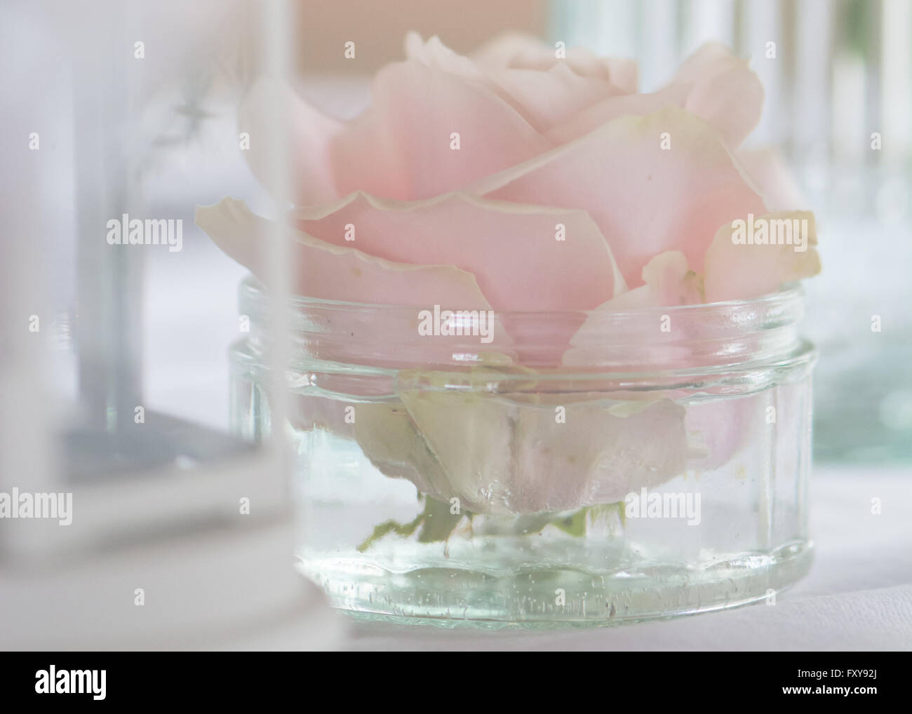 fleurs-en-bocal-en-verre-banque-de-photographies-et-d-images-haute