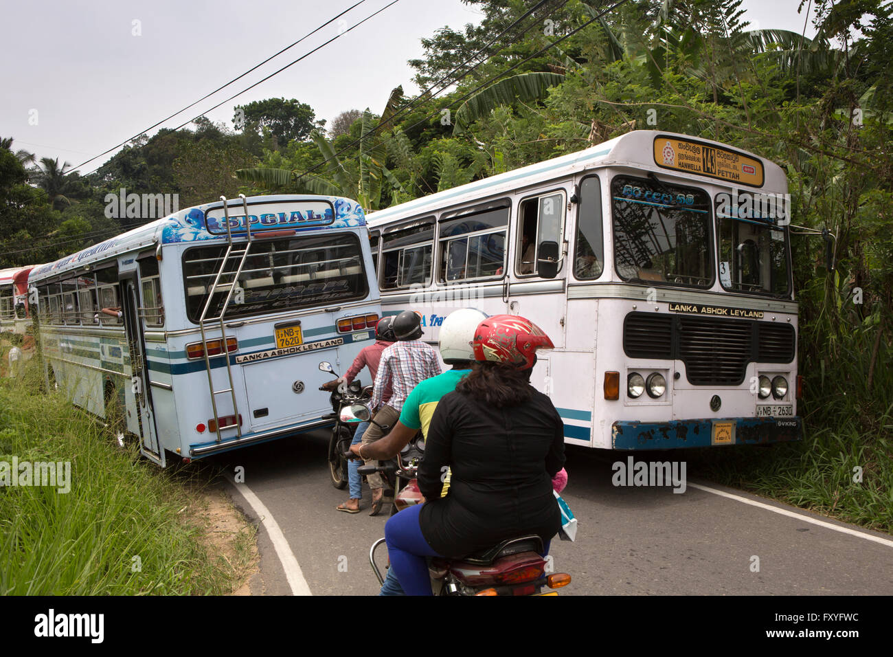 Sri Lanka, Kandy, Embekke, deux bus passant avec difficulté sur la route à voie unique Banque D'Images