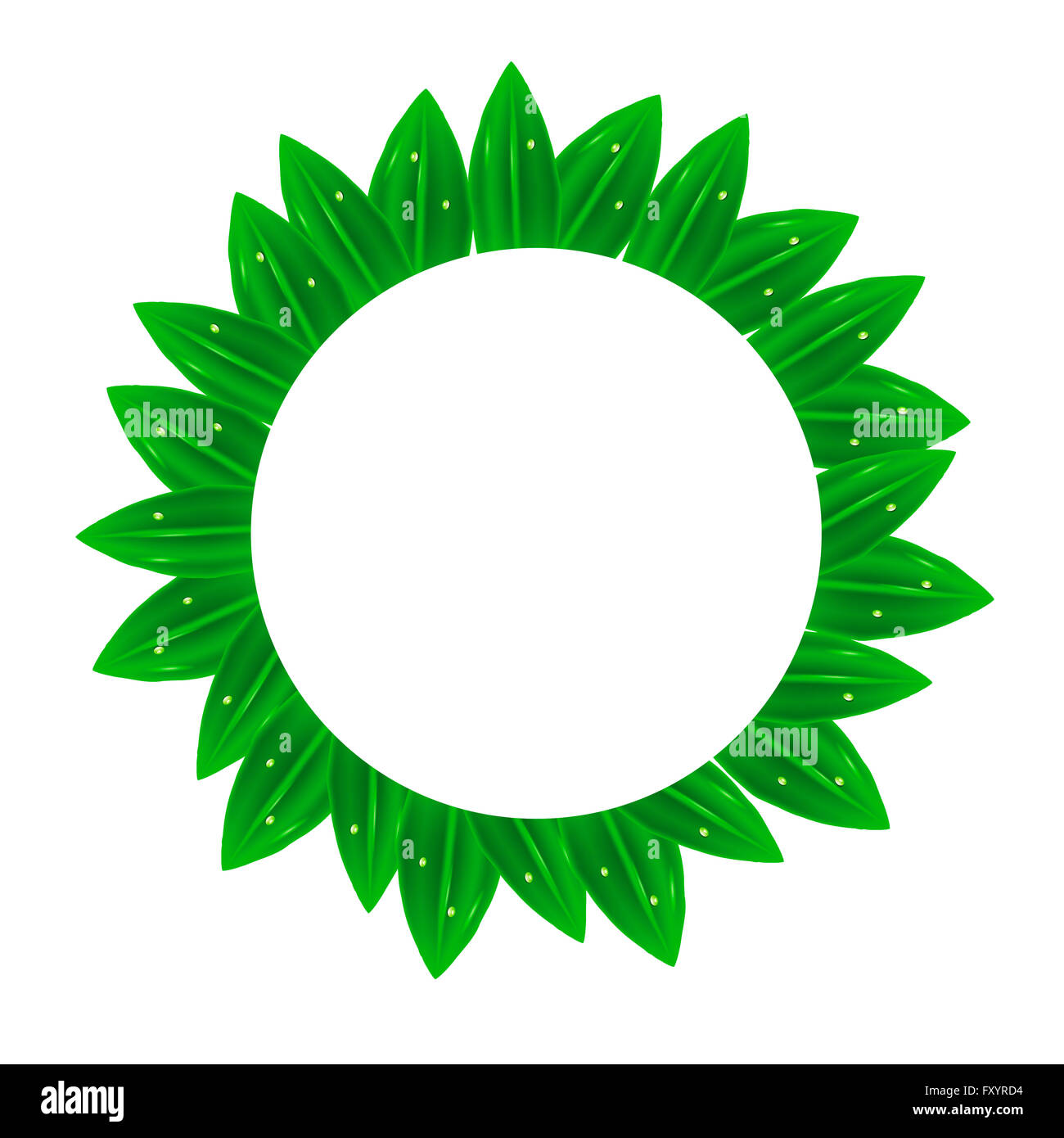 Circle Frame feuilles vertes Banque D'Images