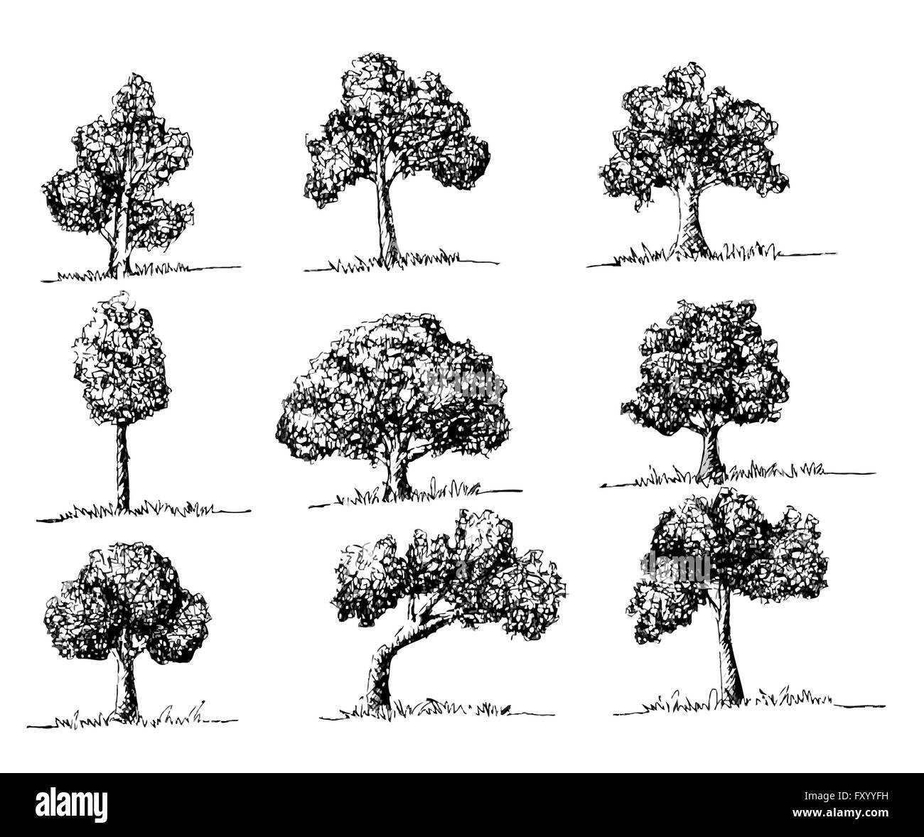 Ensemble d'arbres avec des feuilles Illustration de Vecteur