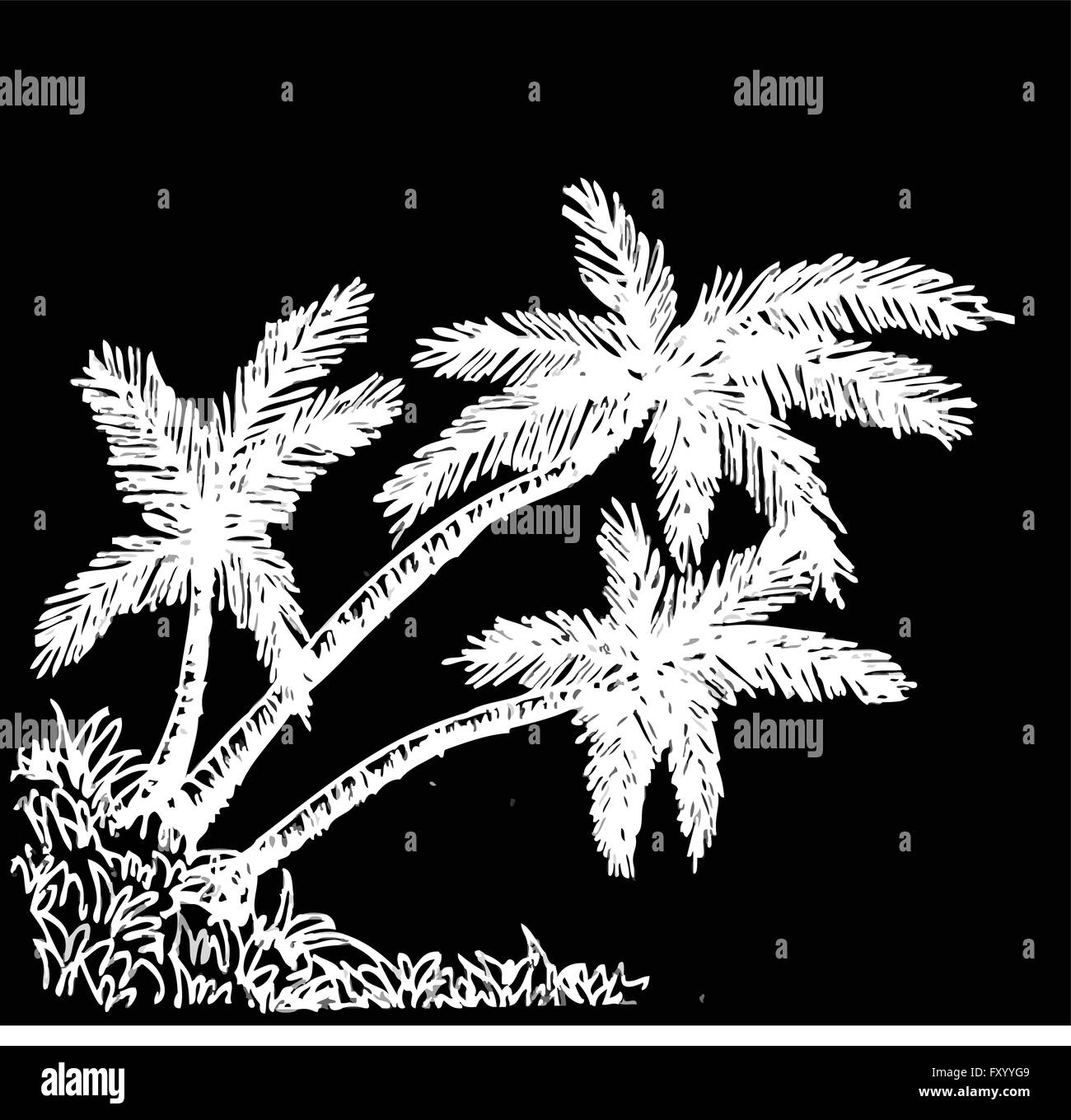 Ensemble de palmier palmiers tropicaux, silhouettes noires background Illustration de Vecteur