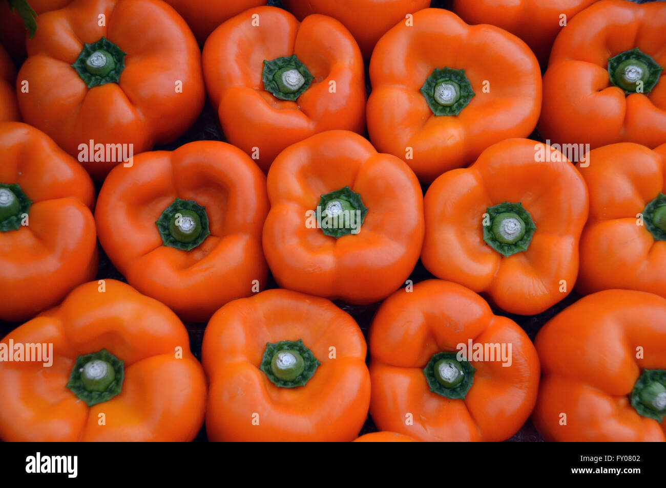 Les dessus des poivrons Orange panier de légumes sur affiché à l'automne de Southport Flower Show. Lancashire UK. Banque D'Images