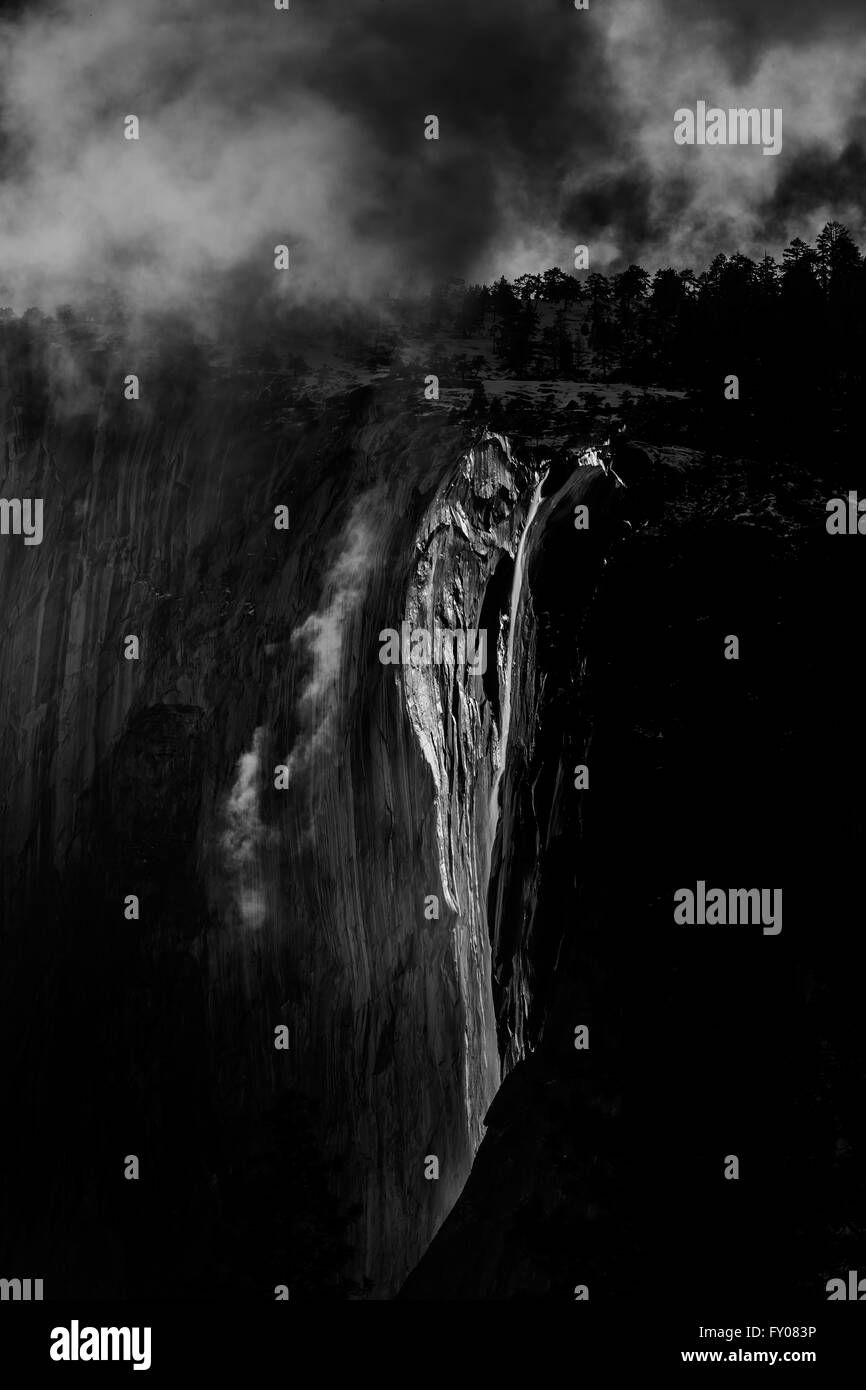 La prêle chute de Yosemite National Park, noir et blanc Banque D'Images