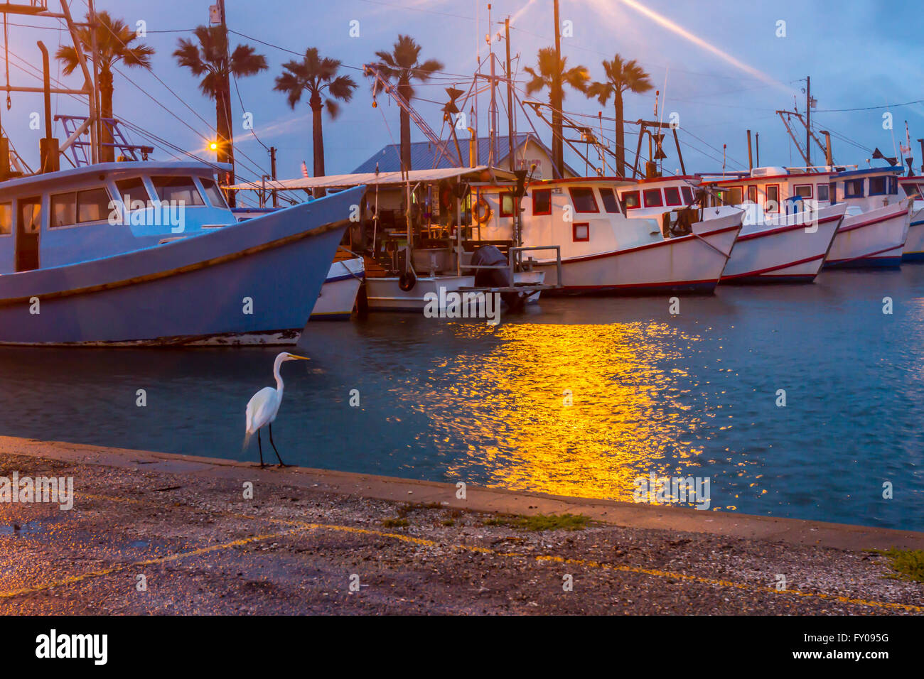 Héron blanc debout à bord de l'eau dans le port de plaisance avec des bateaux de pêche commerciale. Banque D'Images