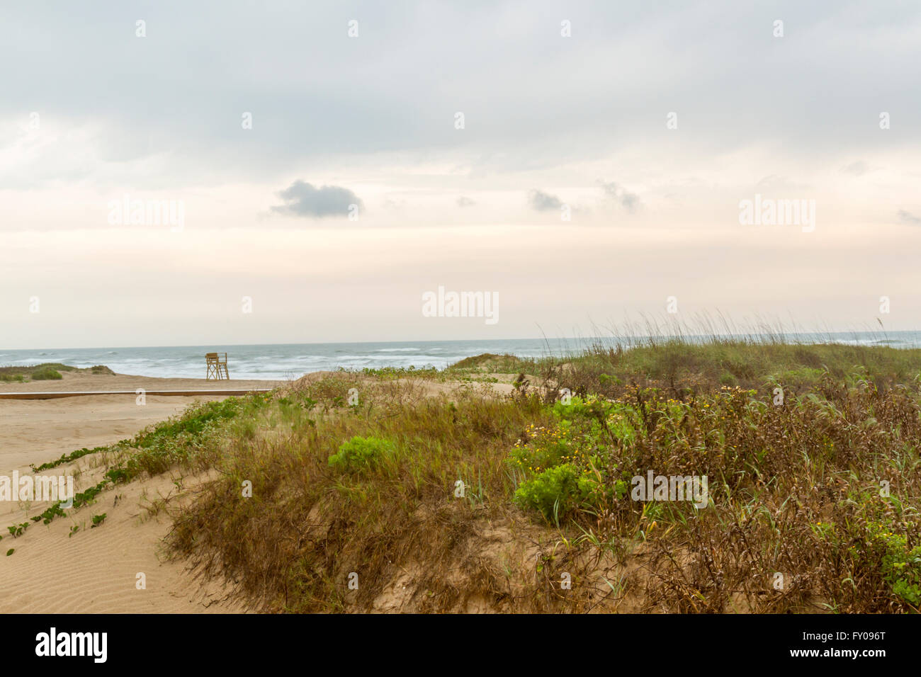 Lever de soleil sur les dunes de sable à South Padre Island, Tx. Banque D'Images