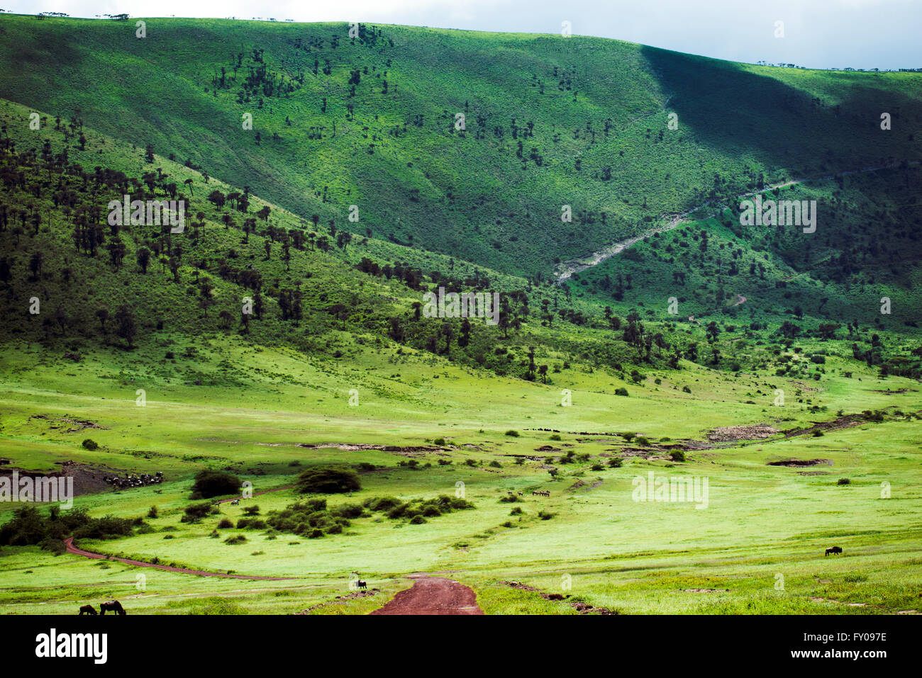 Les paysages spectaculaires dans le cratère du Ngorongoro Conservation Area en Tanzanie. Banque D'Images