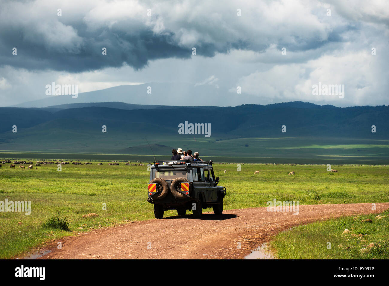 Tourist sur safari à la recherche de prédateurs dans le cratère du Ngorongoro Conservation Area. Banque D'Images
