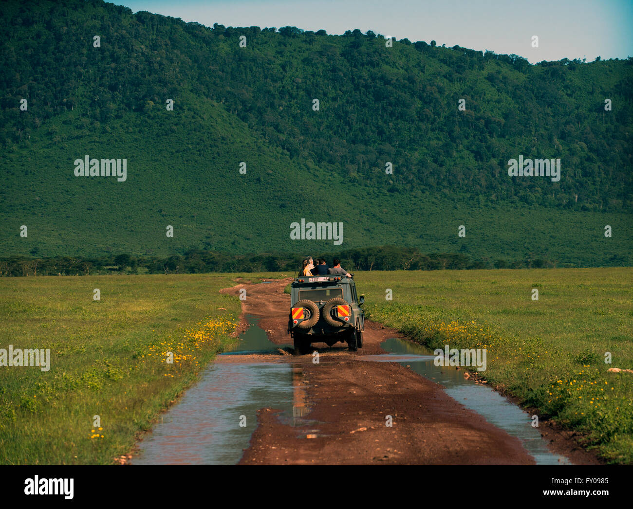 Tourist sur safari à la recherche de prédateurs dans le cratère du Ngorongoro Conservation Area. Banque D'Images