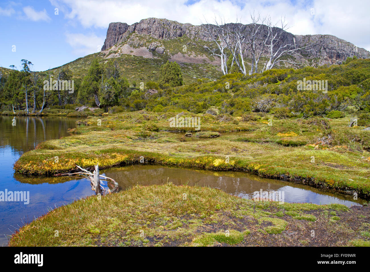 Piscine de Béthesda et Solomons trône dans les murs de Jérusalem National Park Banque D'Images