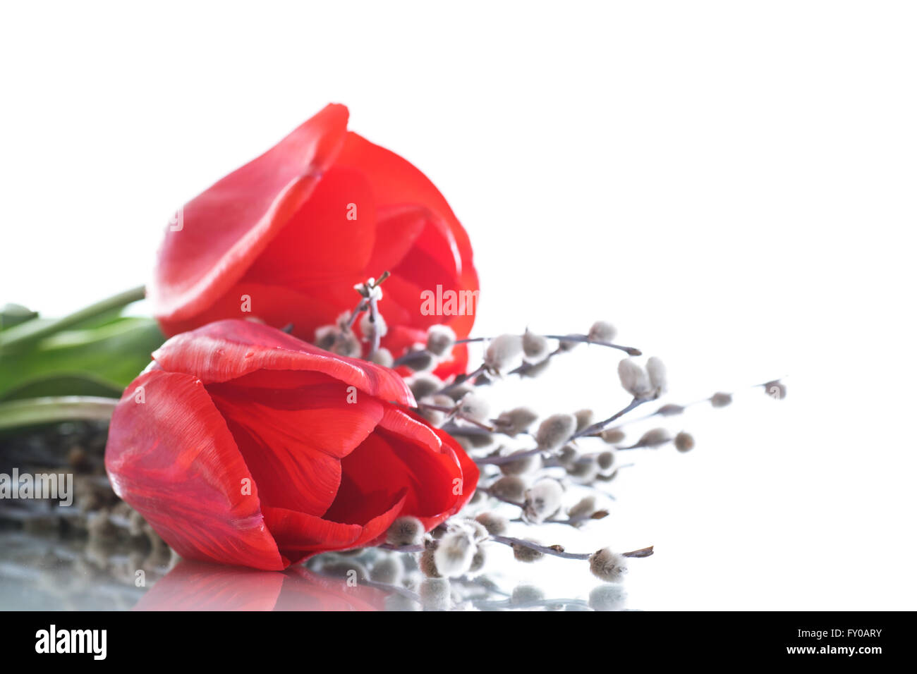 Magnifique bouquet de tulipes rouges Banque D'Images