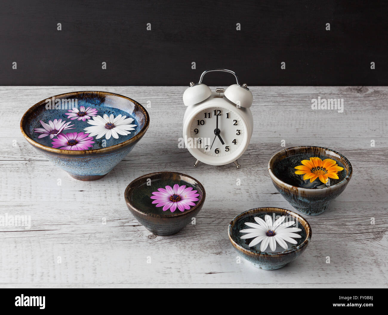 Gerbera flottant dans l'eau en céramique fait main vintage et un réveil sur la table rustique en bois blanc avec cop Banque D'Images