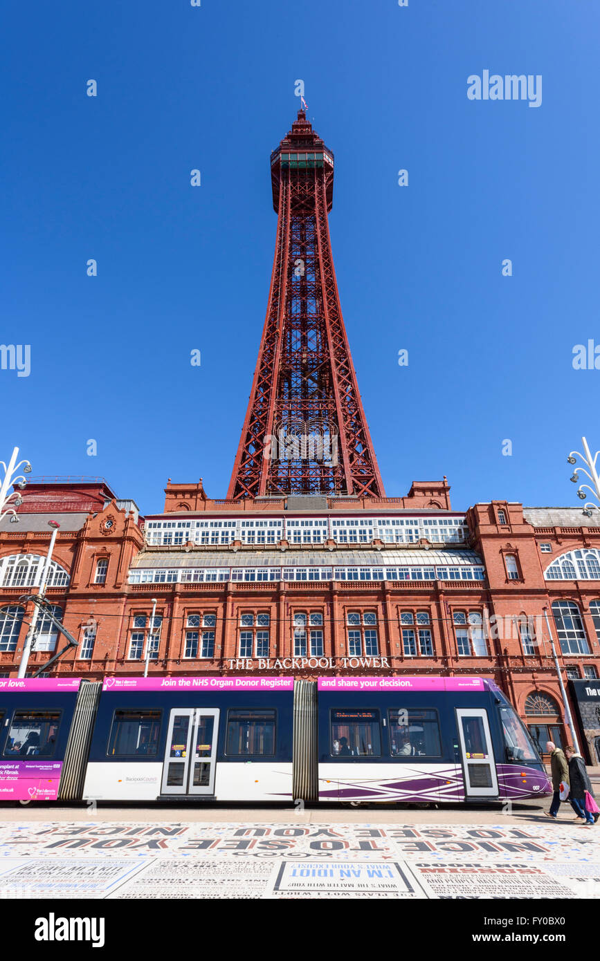 Sous un ciel bleu, un tramway moderne passe en face de la célèbre tour de Blackpool de Blackpool, Lancashire Banque D'Images