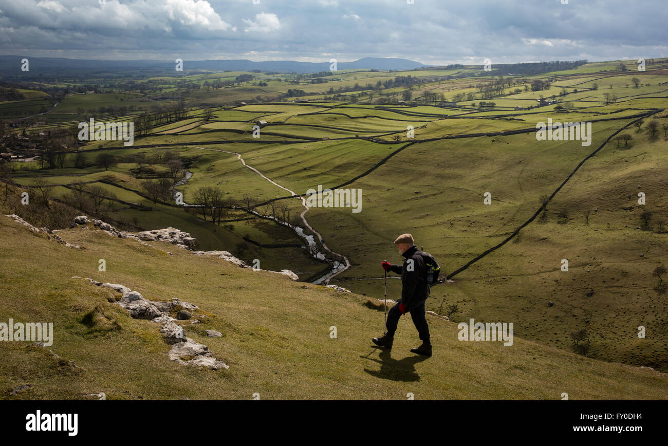 Un walker suit un sentier à Malham Cove dans le North Yorkshire, Angleterre, Royaume-Uni. Banque D'Images