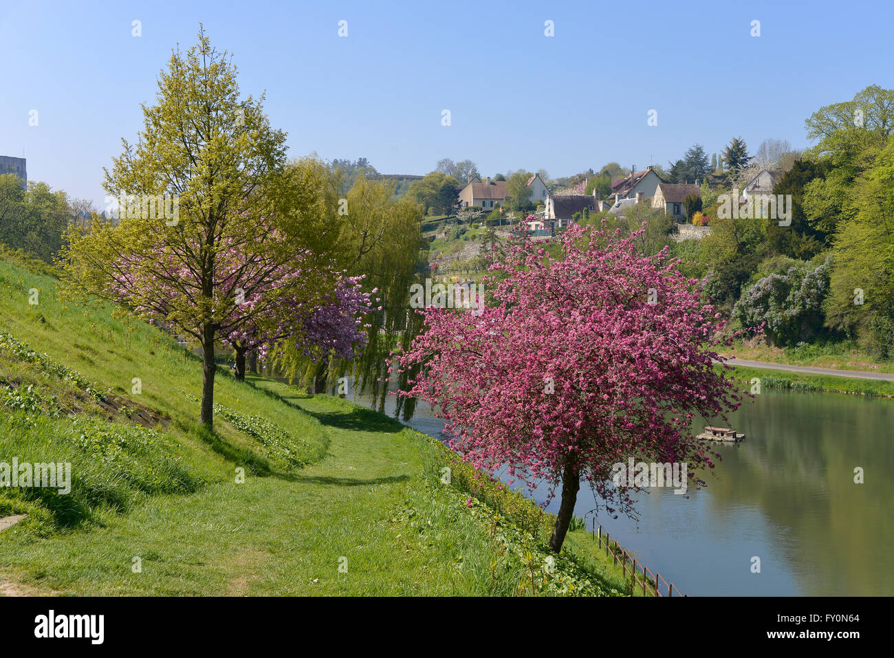 Étang et arbres à Falaise, une commune française, située dans le département du Calvados et la région Basse-Normandie, France Banque D'Images